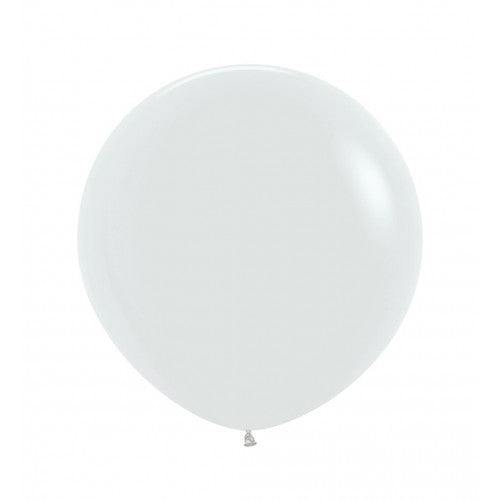 White 24'' 2gb